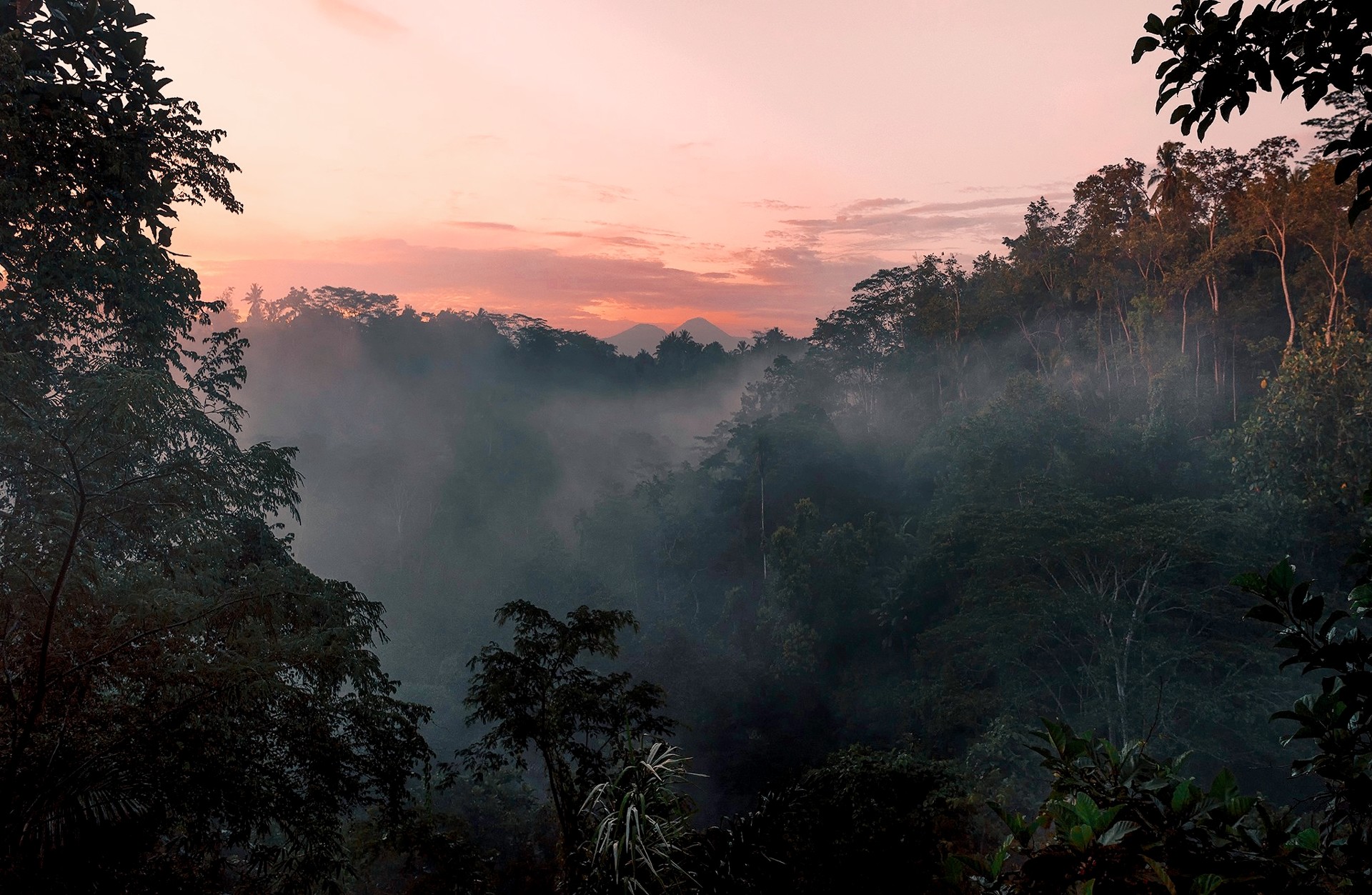 巴厘岛中国游客越来越少,巴厘岛游客现状