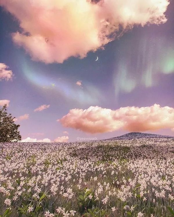 坚持信仰正能量的句子发朋友圈,正能量朋友圈高质量句子带图片