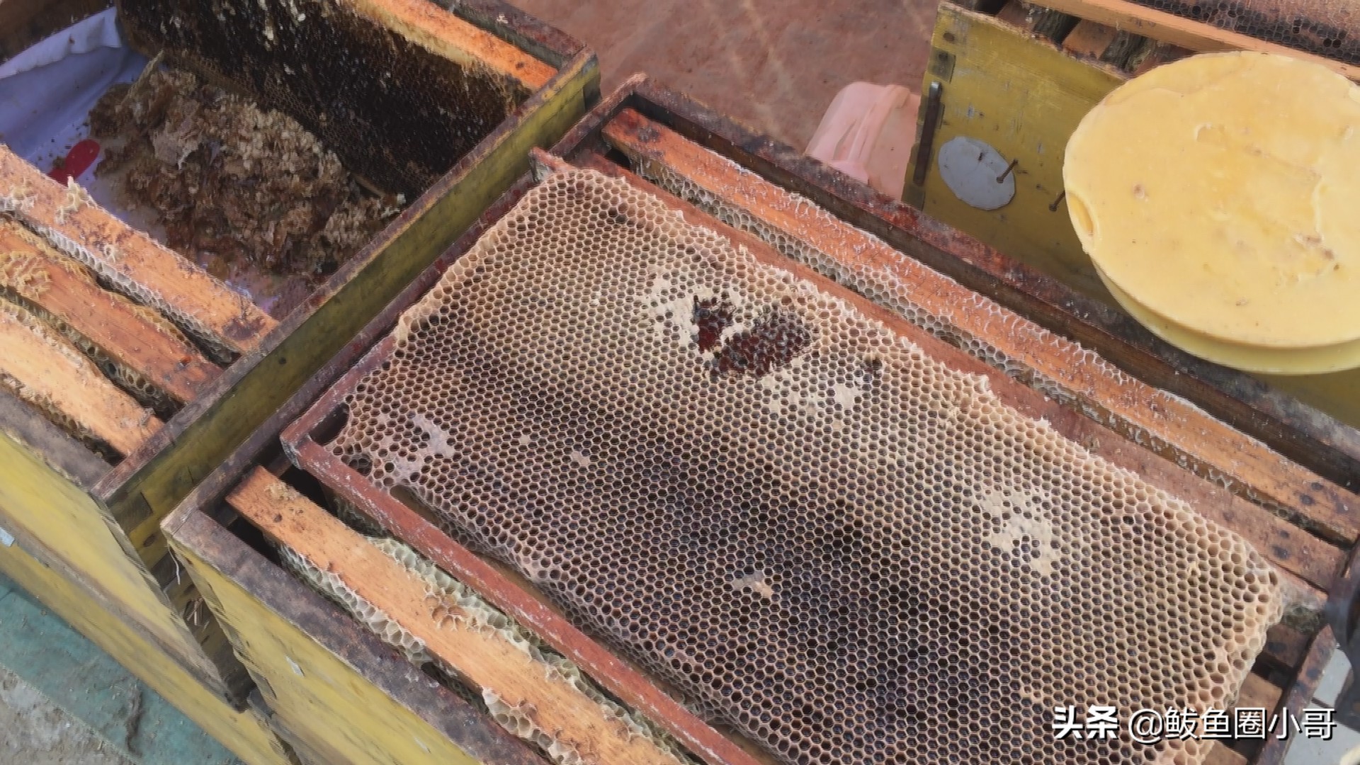 年前的红旗大集,红旗大集的历史