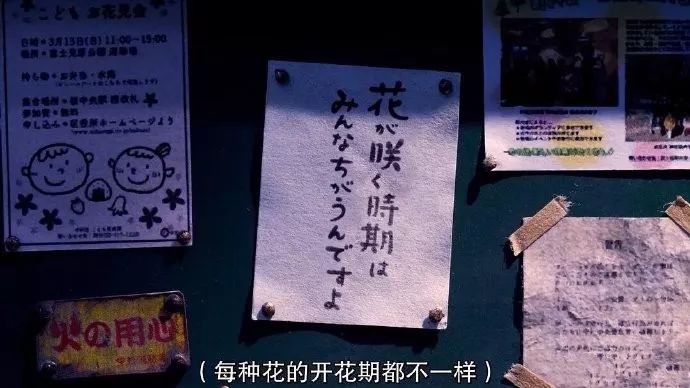 渡边淳一的钝感力人际关系,渡边淳一的尾声