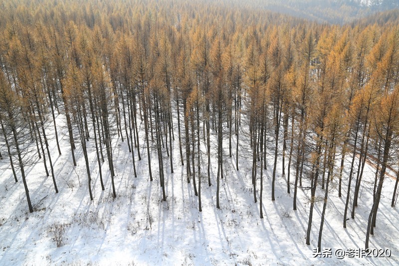 河北草原天路自驾游好玩攻略,内蒙古玩草原最佳路线