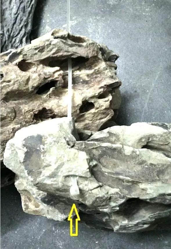 草缸造景教程:胶水造景太温柔,男人就该上电钻