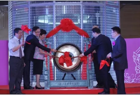 红蜻蜓鞋王钱金波,鞋王钱金波全集