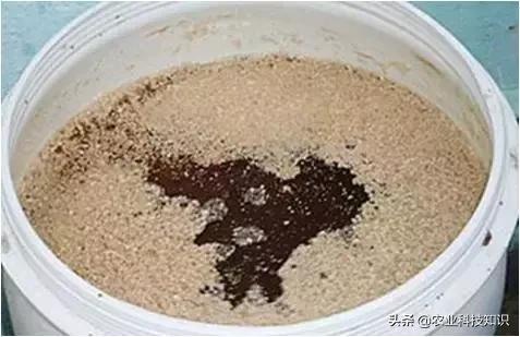 酵素制作,让厨余垃圾零废弃,秒变环保达人,内附制作方法