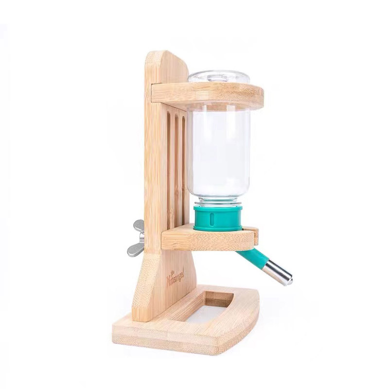 非洲迷你刺猬能一直吃水果吗,非洲迷你小刺猬好养吗