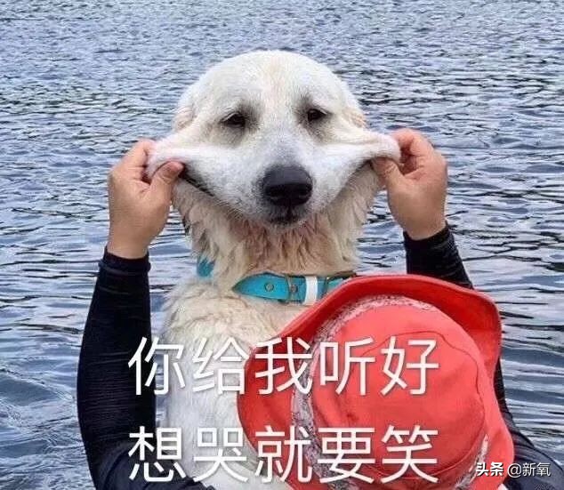 刘亦菲从清纯小龙女到硬汉花木兰,从洗头妹到影后的小宋佳