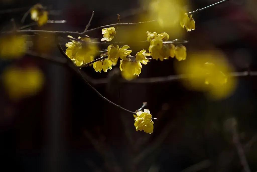 摄影作品精选展,每周摄影作品