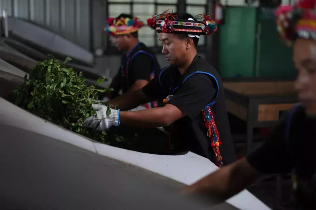 云南有什么名烟名酒名茶,2021年云南十大名茶排名