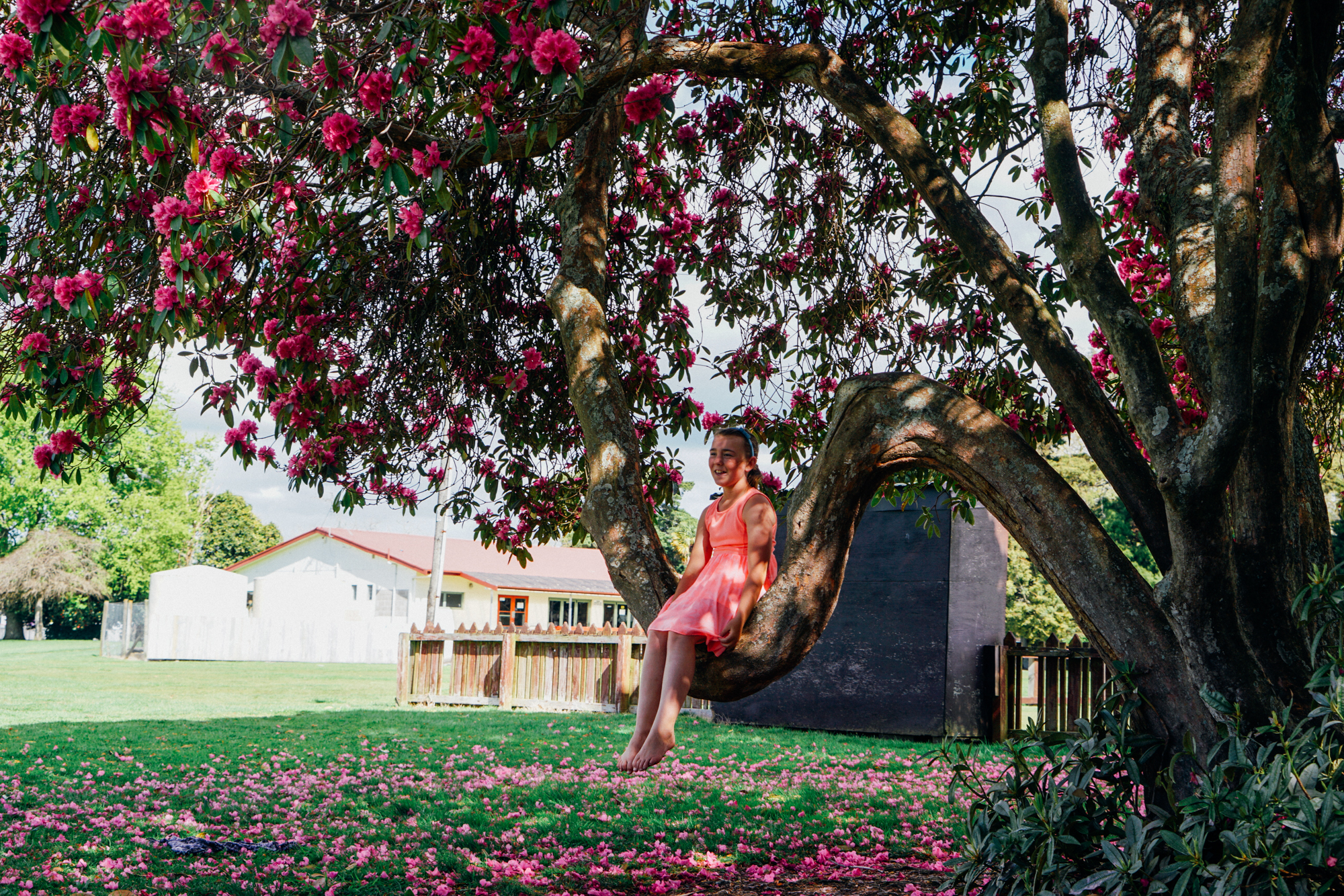 为什么说新西兰是纯净的,新西兰北岛有值得去的地方吗