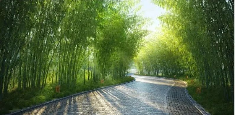 彭山竹韵廊在什么地方,彭山区竹韵廊公园航拍