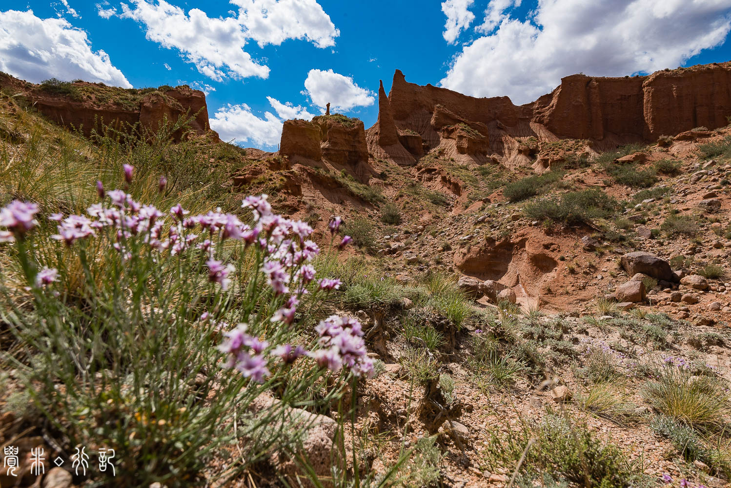 温宿大峡谷和甘肃七彩丹霞,温宿县丹霞大峡谷