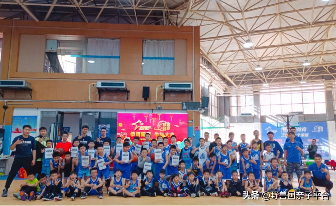 少儿篮球运动哪家好,权威少儿篮球兴趣班机构排名