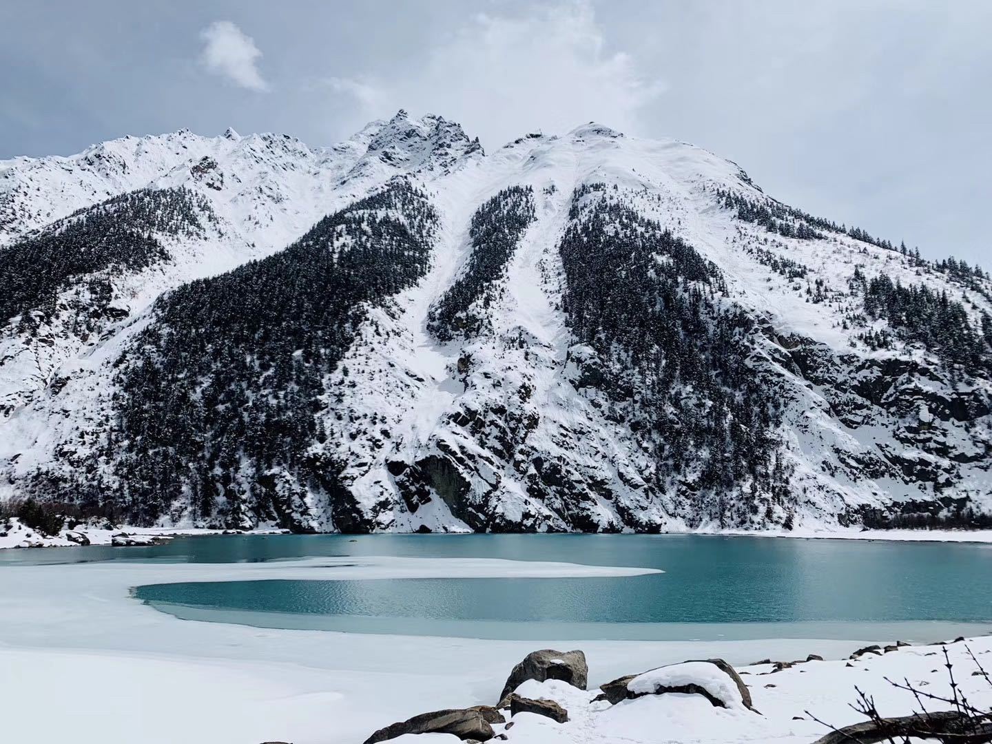 拉萨到成都普拉多托运费用,拉萨租车普拉多配司机一天多少钱