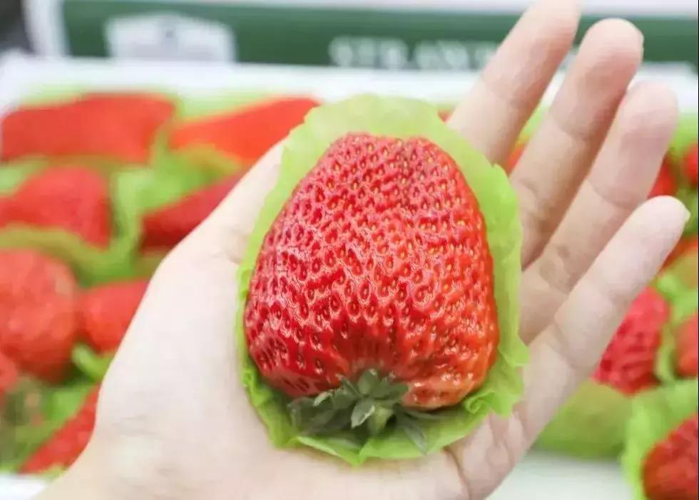 代购没有3c的商品,代购nothingwritten包