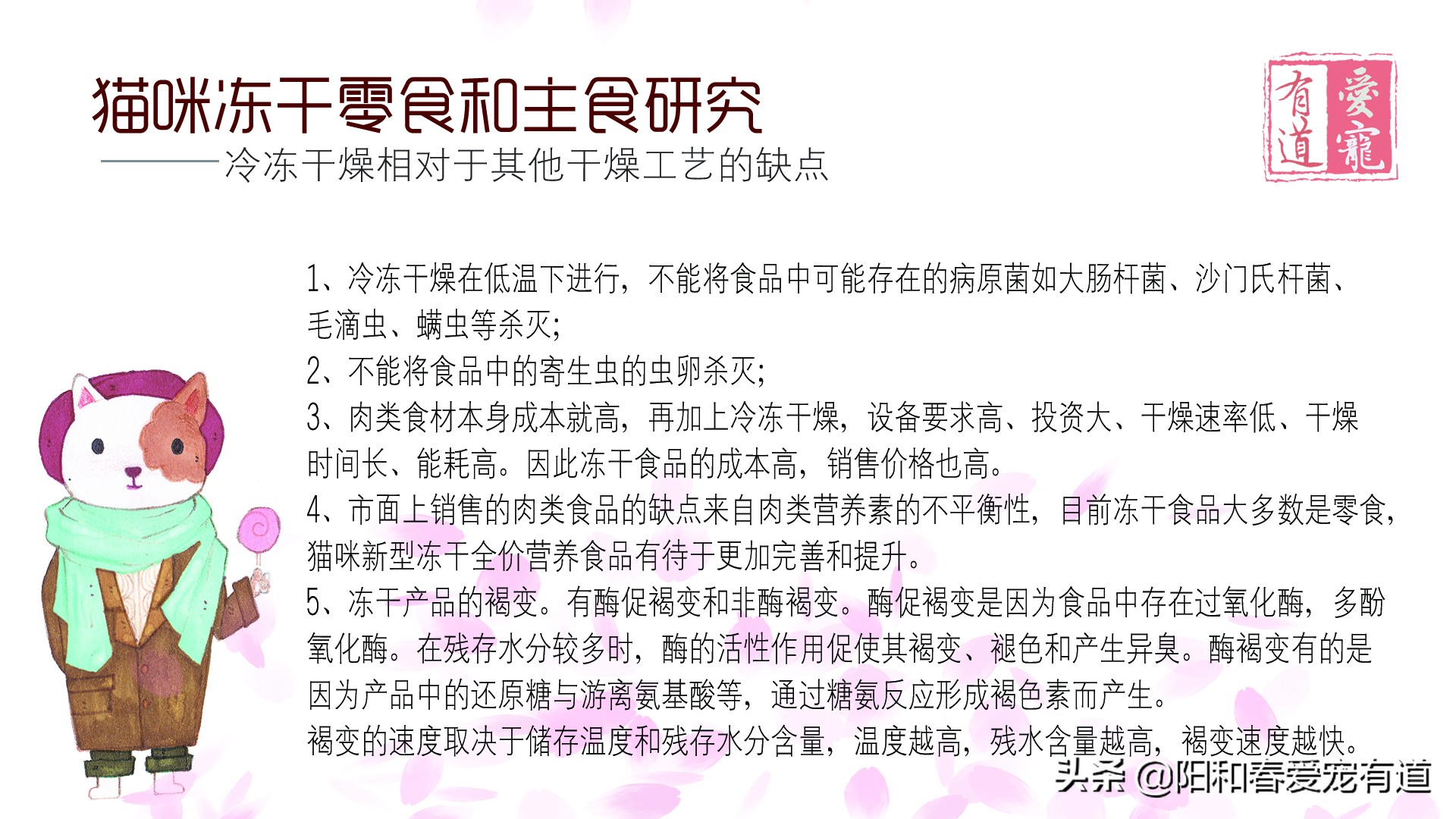 爱猫老奴说:如何选择选择猫咪冻干零食和全价猫粮