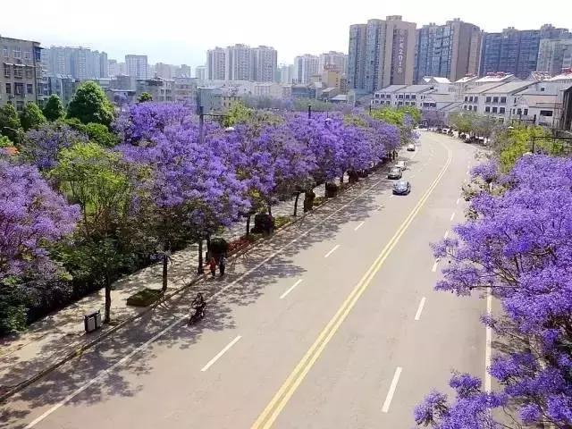 四川这座隐匿千年的古城,四川这座隐藏在喧闹中的千年古镇