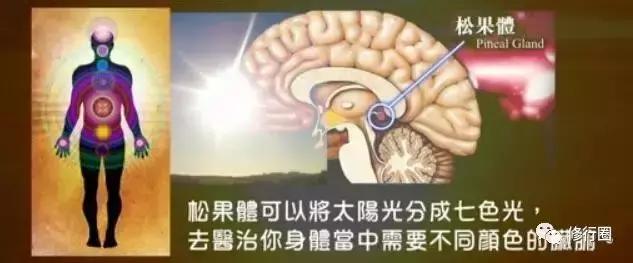 以太阳为食物的人,以阳光为食