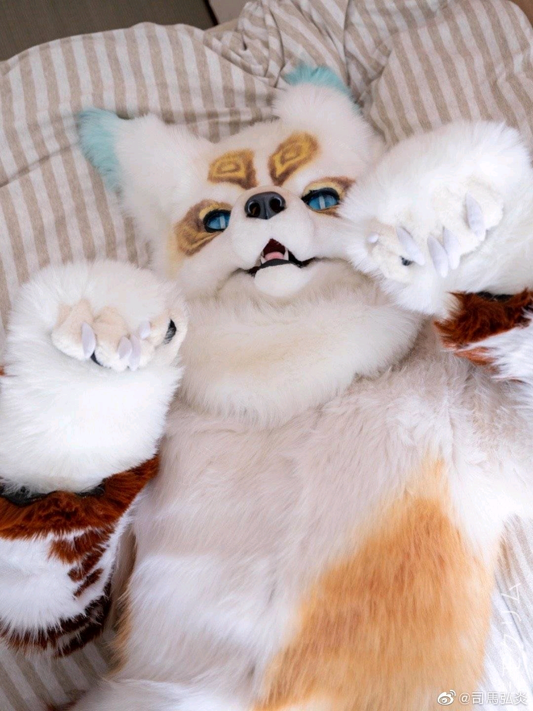 杂图系列（*男猛**系列：兽人furry第一弹）#1