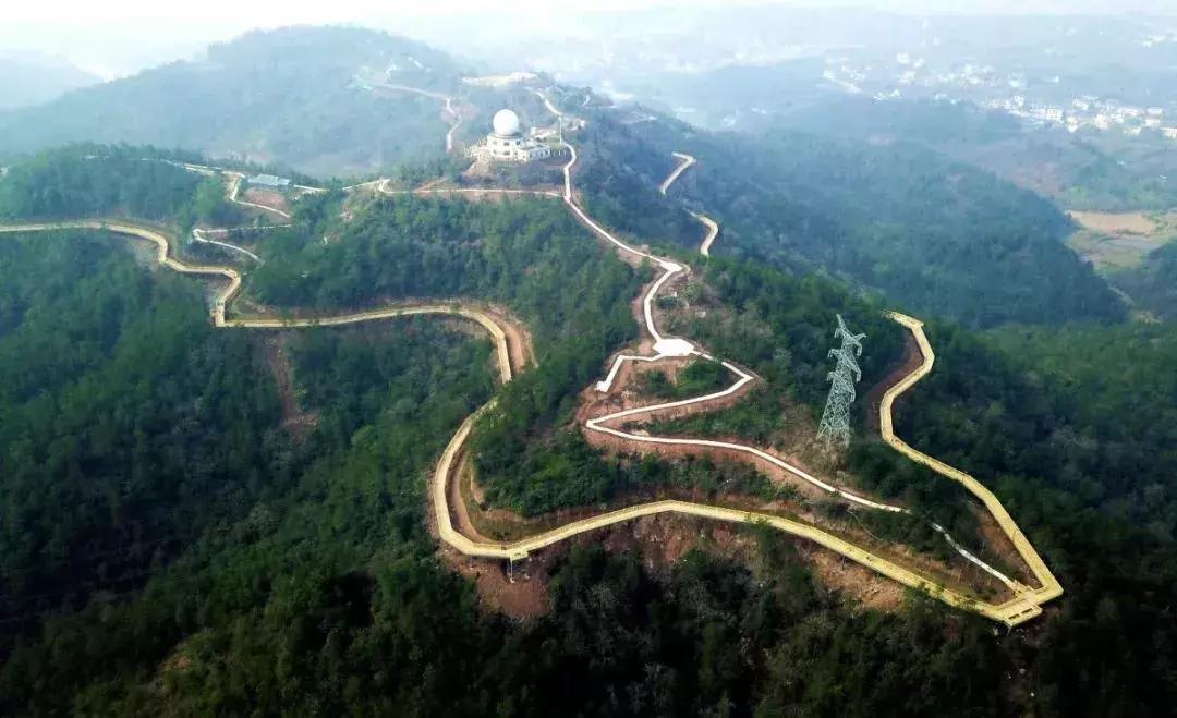 离赣州最近的森林公园还有多远,赣州最好玩的公园不要门票