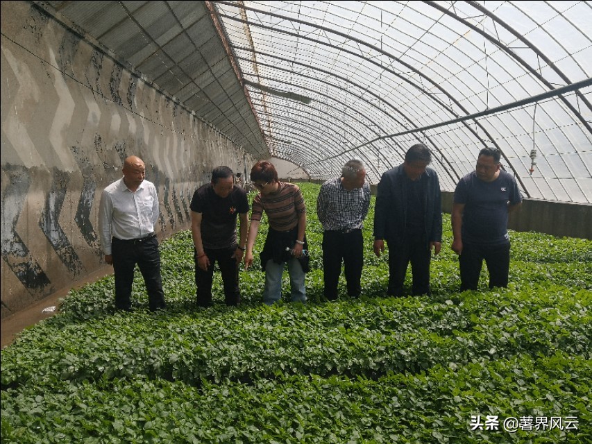 中发控股综合集团定西考察交流学习