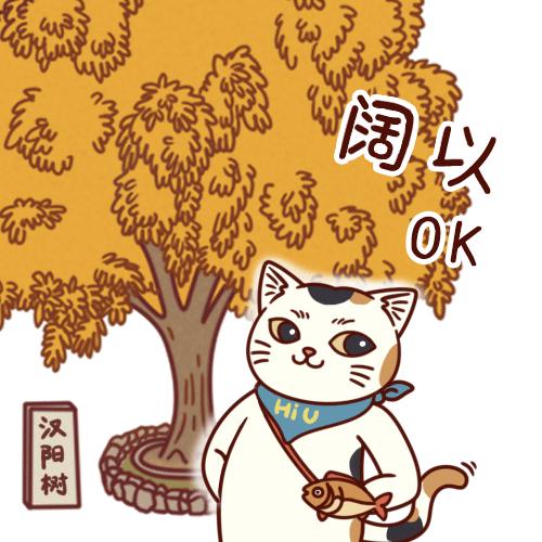 张大人的猫又在汉阳带节奏:勒个,就寺武汉话!