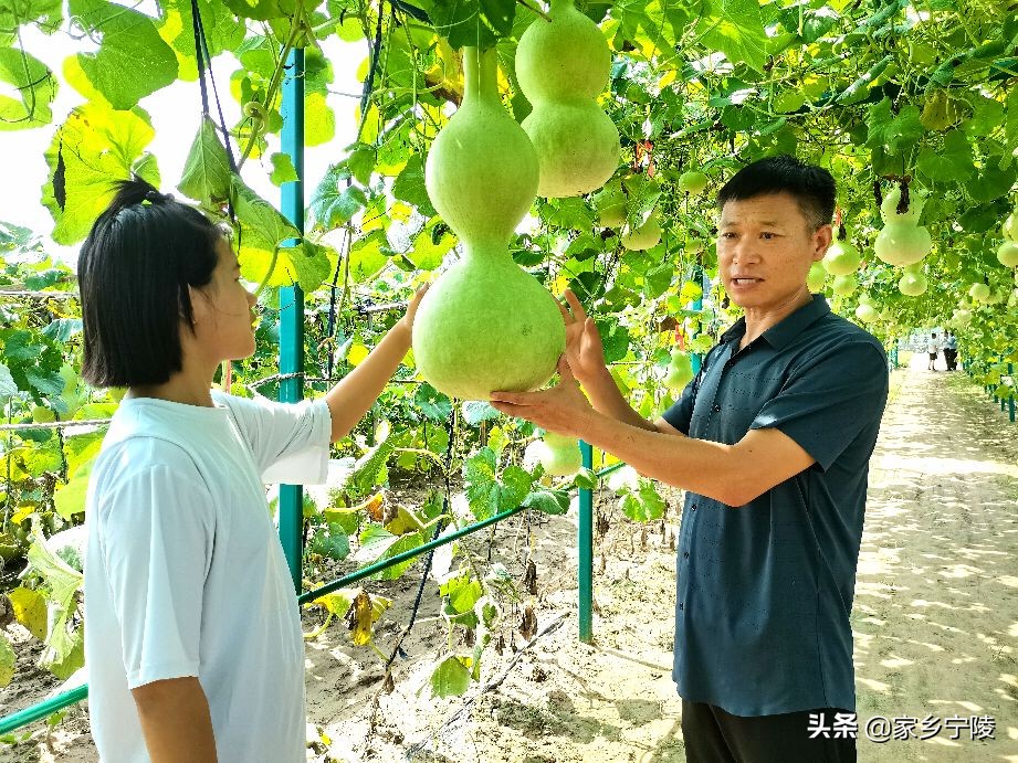 葫芦大观园视频,葫芦大观园开园