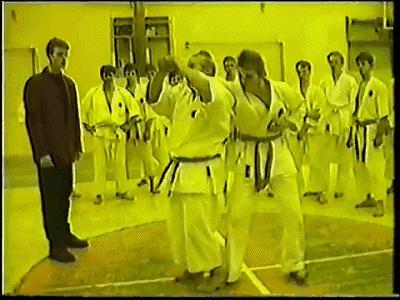 空手道基本功gif,空手道gif