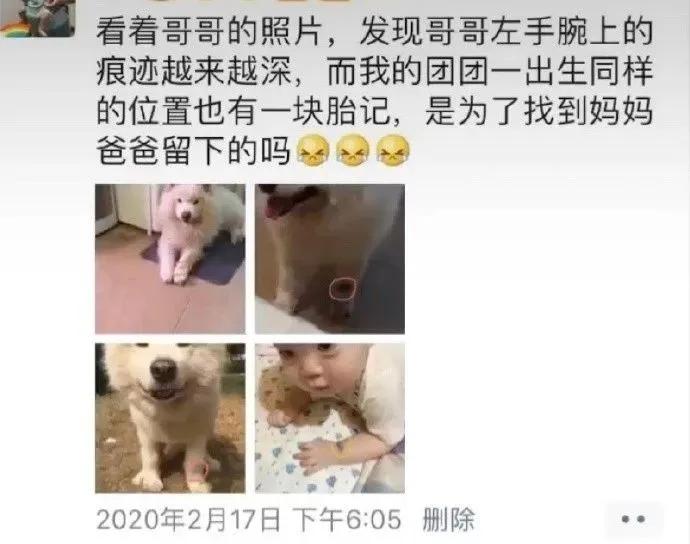 去世的企鹅复活,死去的企鹅