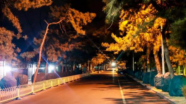 北京滴滴代驾白天,北京晚上滴滴代驾