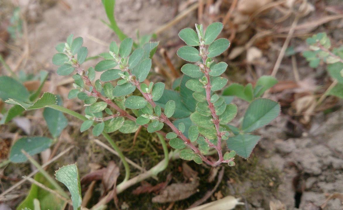 冷兵器时代如何处理伤亡士兵,冷兵器战场怎么保命