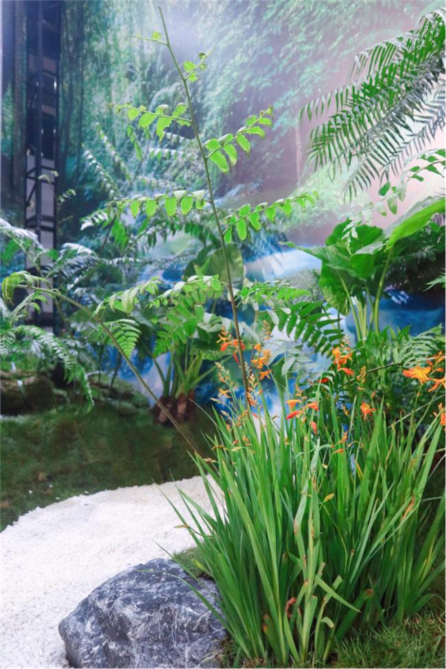 让人惊艳的花展,花展上看到的美到窒息