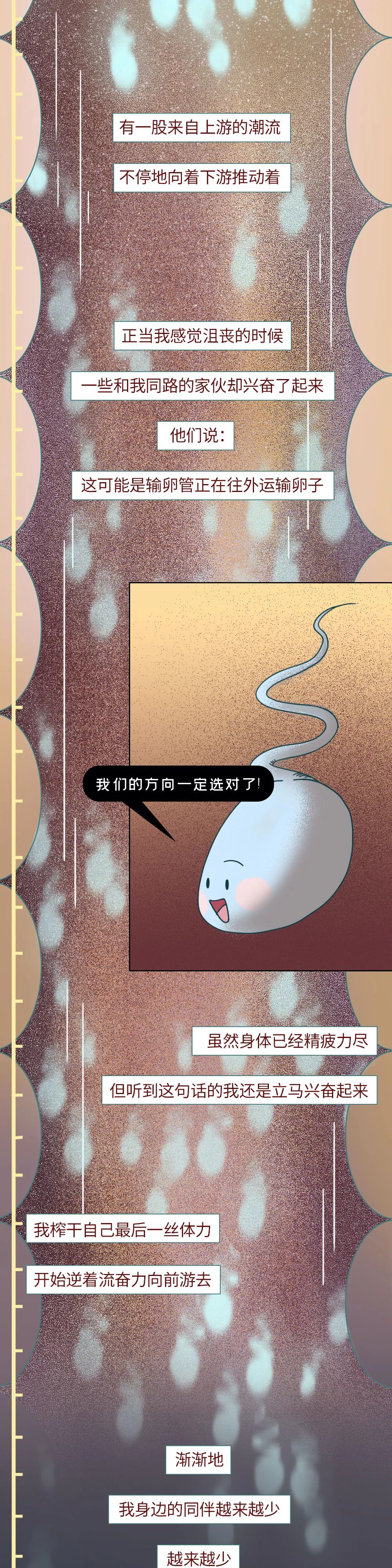 科普知识精子液化后的状态,男性精子在体内存活时间