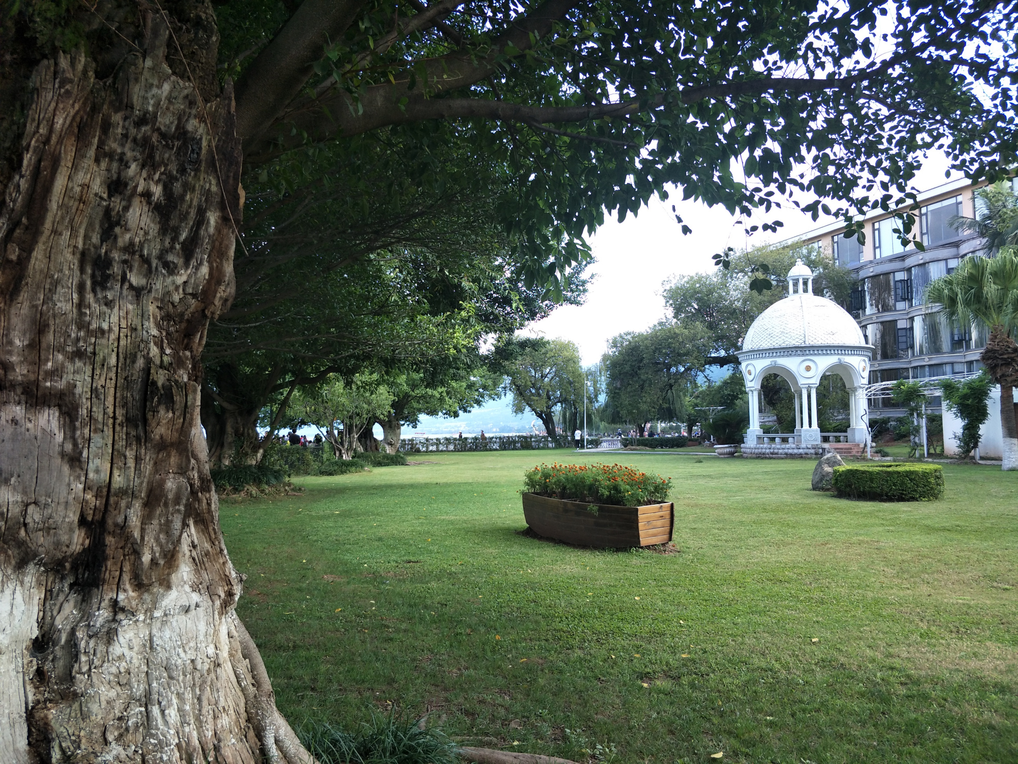 西昌一个花园式宾馆,国家领导人来昌的下榻地,成为网红打卡景点
