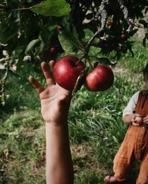 她放弃城市生活,一家人搬到乡下田园:自给自足