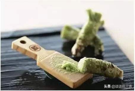 农村保质期最高的蔬菜,保质期最长的蔬菜有哪些