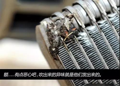 创新生态可持续,创新与生态