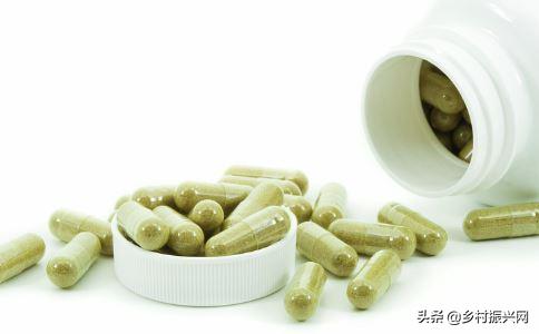 昆虫薯片,昆虫零食香辣