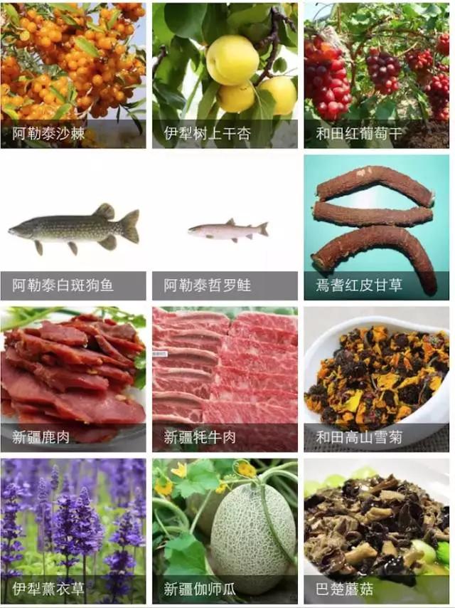 谁整理的新疆特产太全了,新疆特产满疆骆驼奶贝