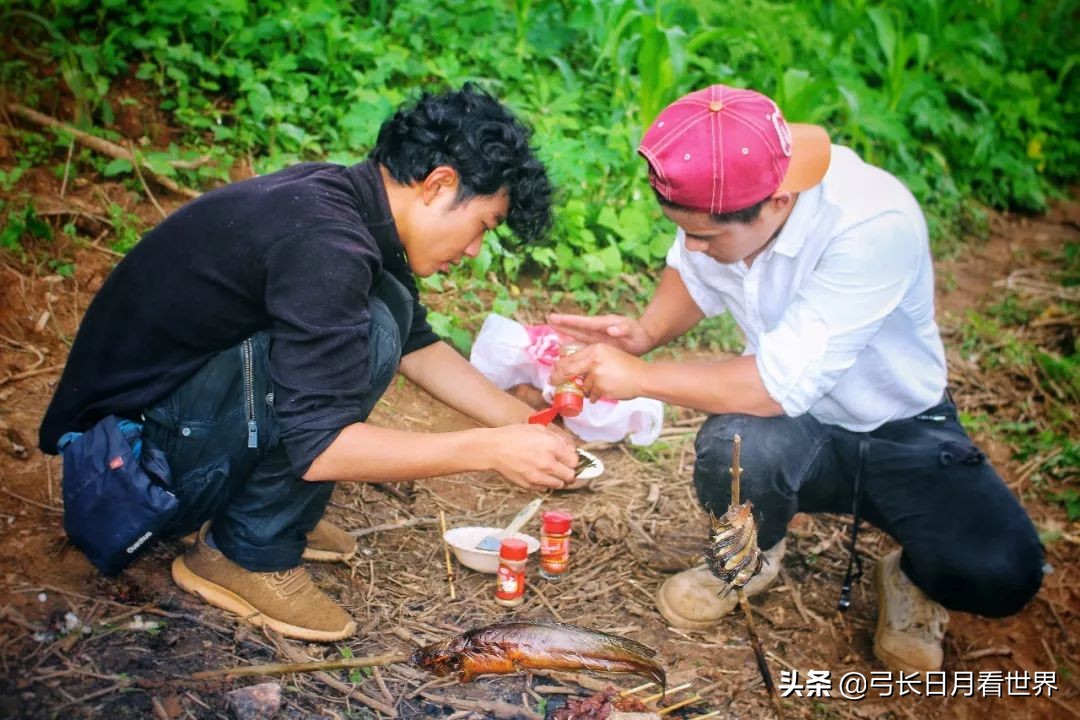 揭秘非洲不为人知的斗鱼直播