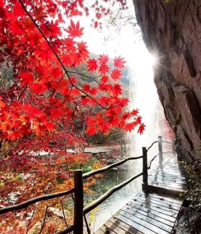 沈阳冬季一日游最佳去处,沈阳本溪自驾看枫叶去哪里