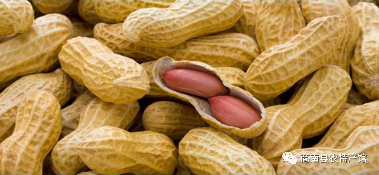 商南特产有哪些,商南县生花生