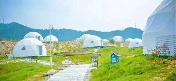 河北绝美自驾游,河北哪里的花海好看最美