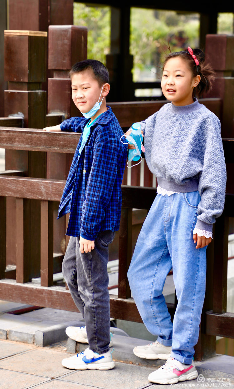 看洛阳牡丹花卉节,洛阳古都牡丹花展