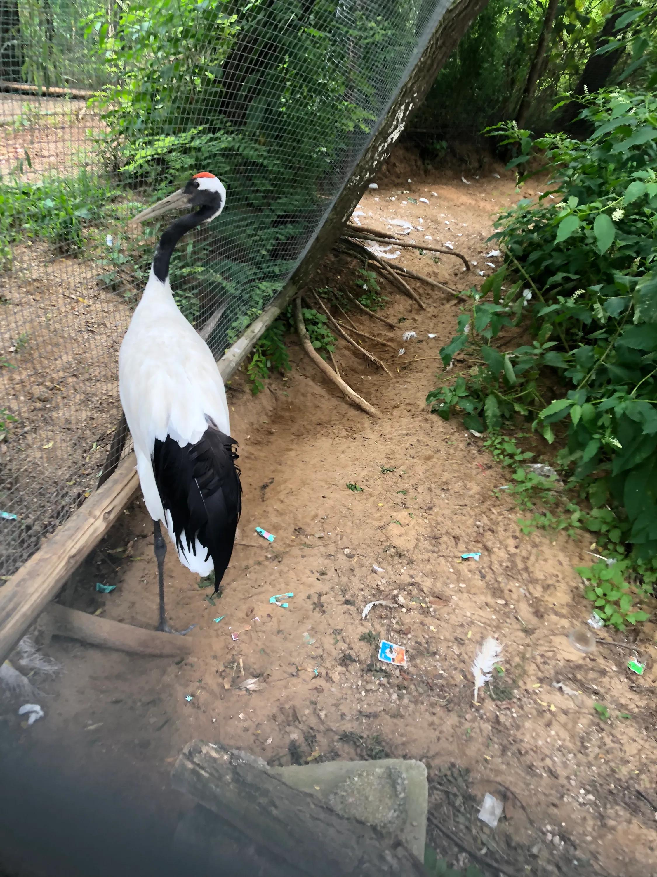 考研必备考点,考研知识点学不明白怎么办