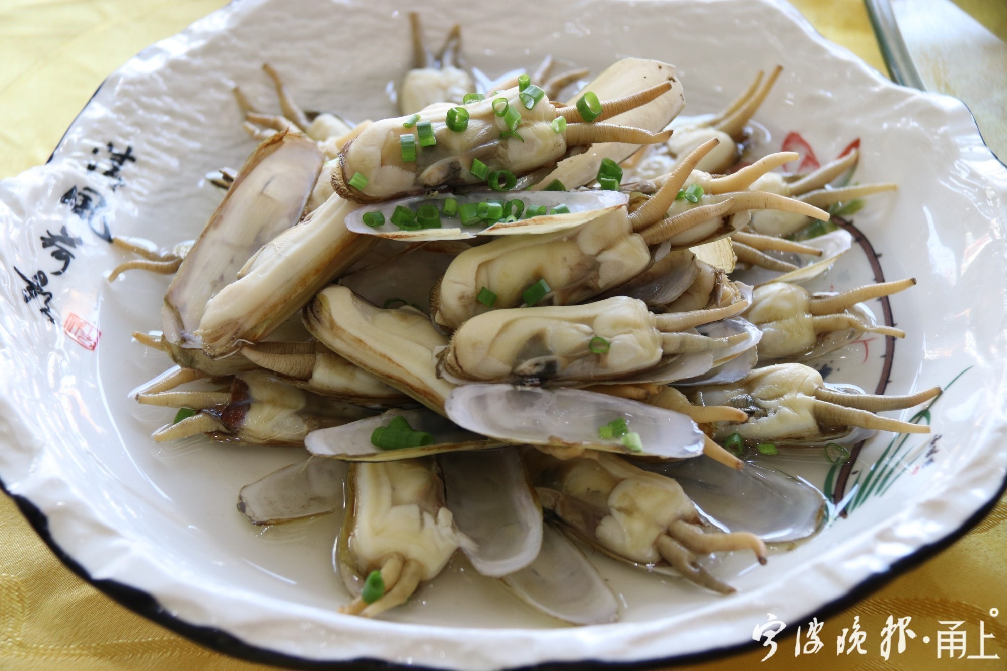 陈晓卿深夜造访宁波，来跟这种小海鲜说再见！传说它是龟兔赛跑后的爱情结晶……