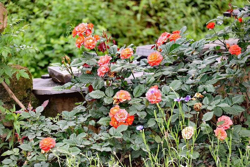 轰趴民宿张家界,张家界民宿轰趴馆