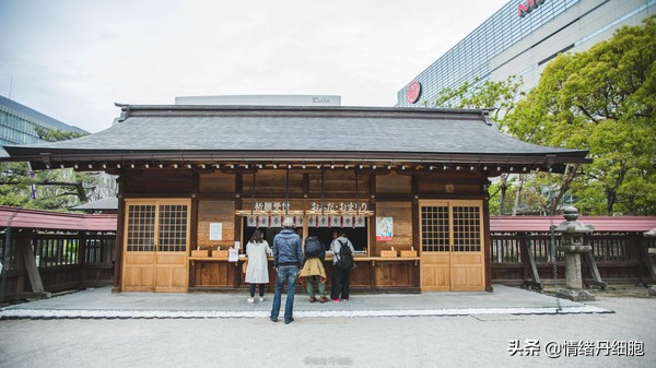 邮轮游选择哪个游轮好,邮轮旅游全攻略公主号