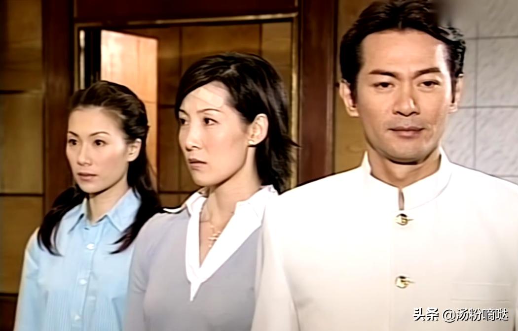 九五至尊剧情讲解,九五至尊剧情解读