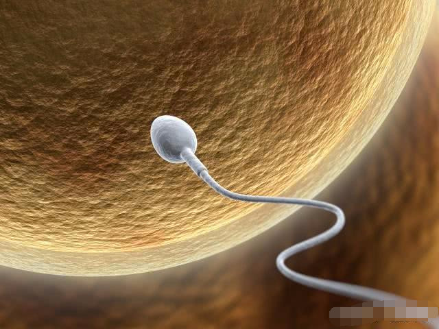 什么男人更易让女人“怀孕”？这3个特征，希望你老公都有！