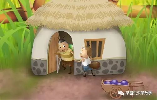 菜园种菜数学问题,菜地种菜数学问题